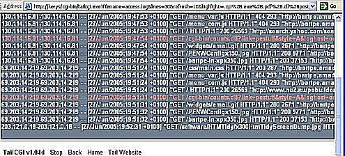 tailcgi-2.jpg (67741 bytes)